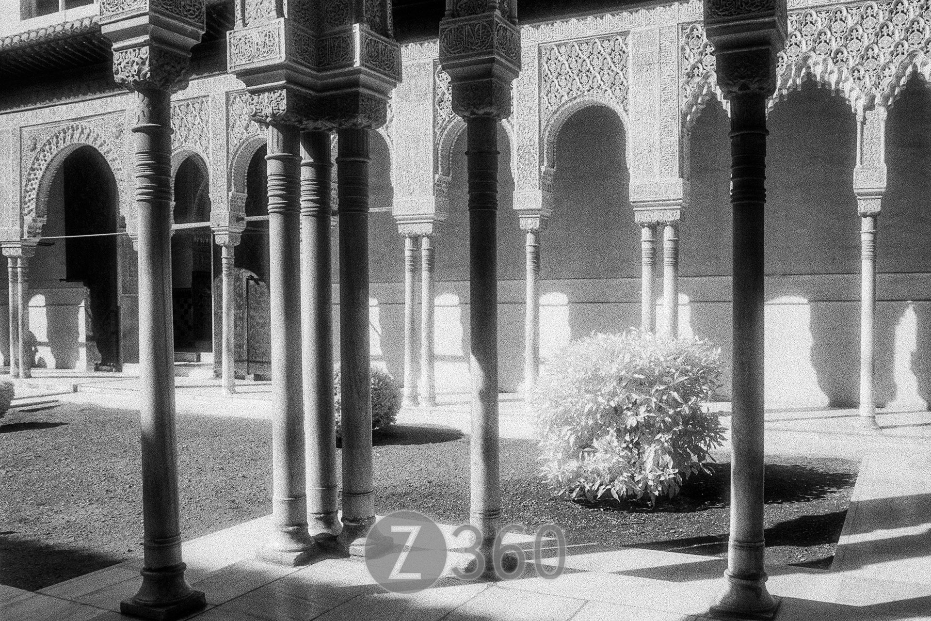 The Alhambra, Granada