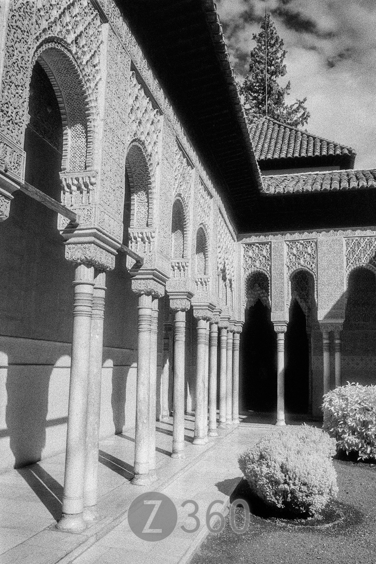 The Alhambra, Granada