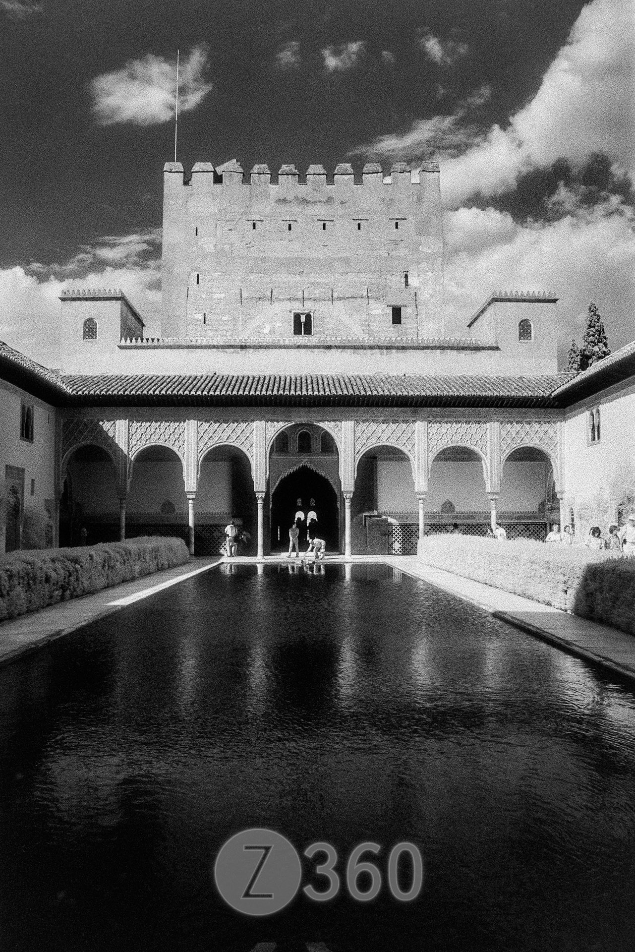 The Alhambra, Granada