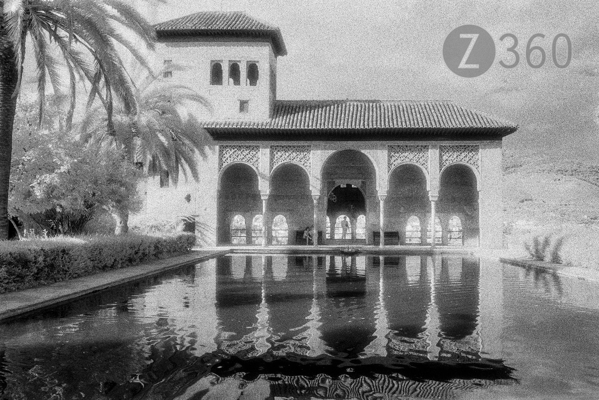 The Alhambra, Granada