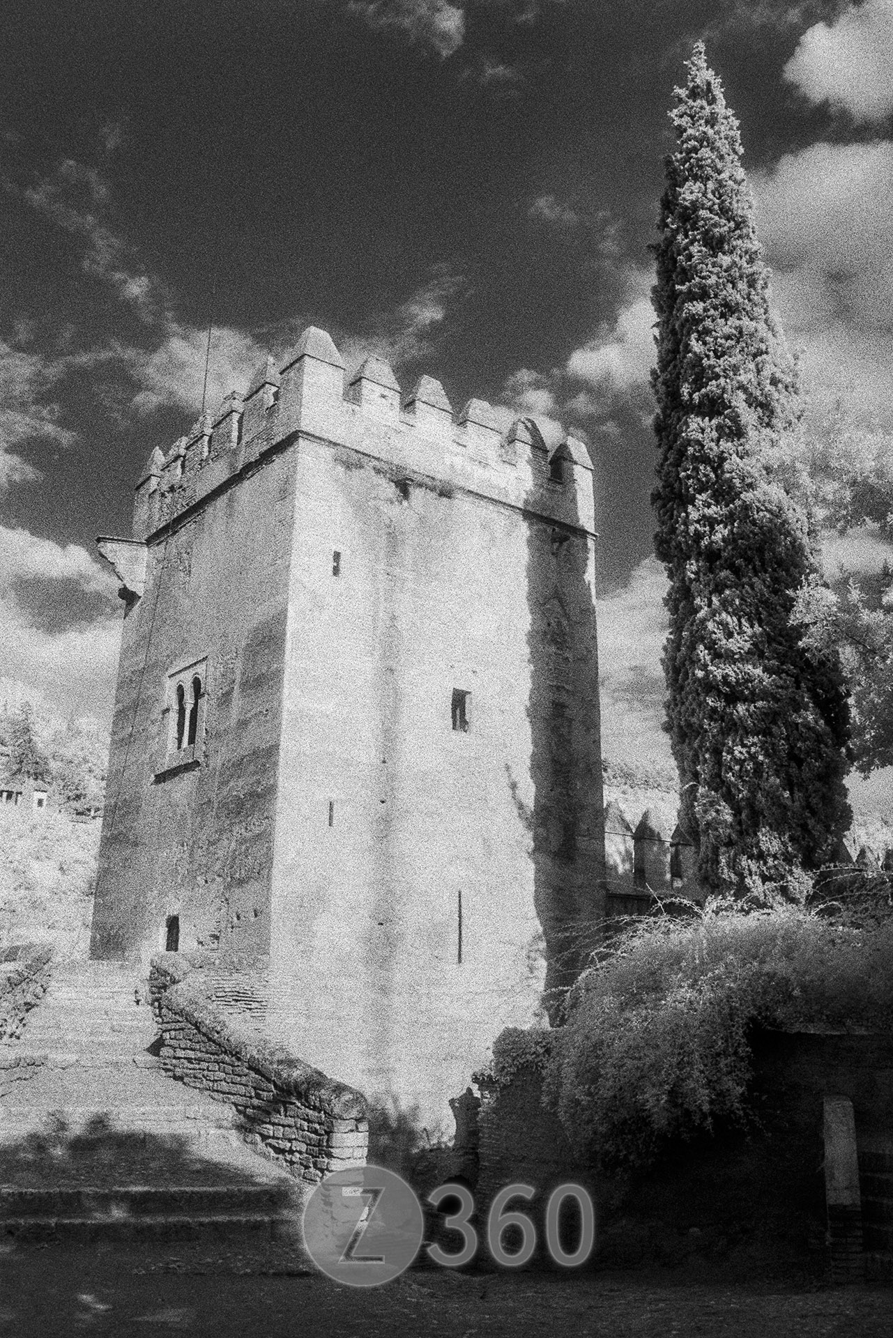 The Alhambra, Granada