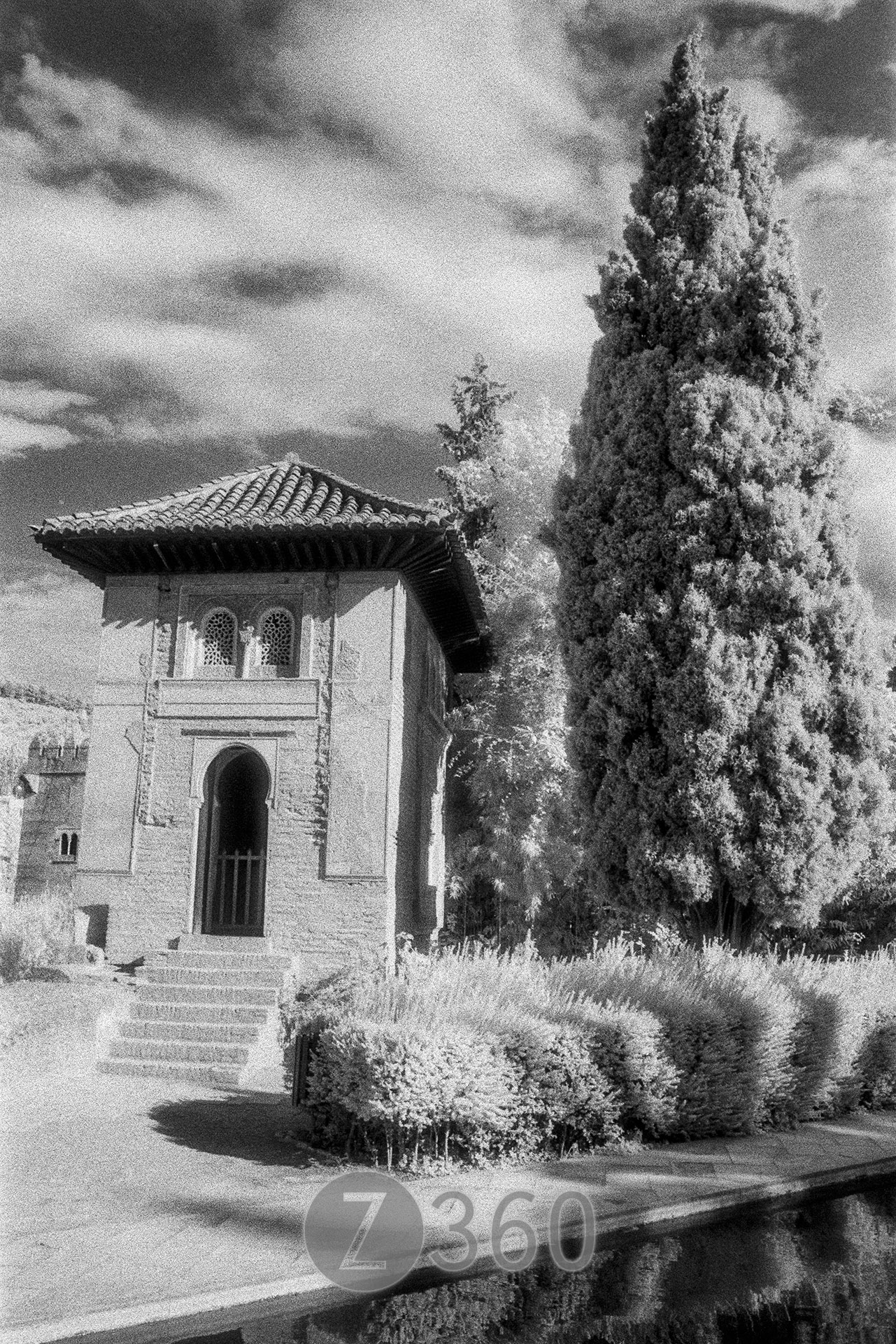 The Alhambra, Granada