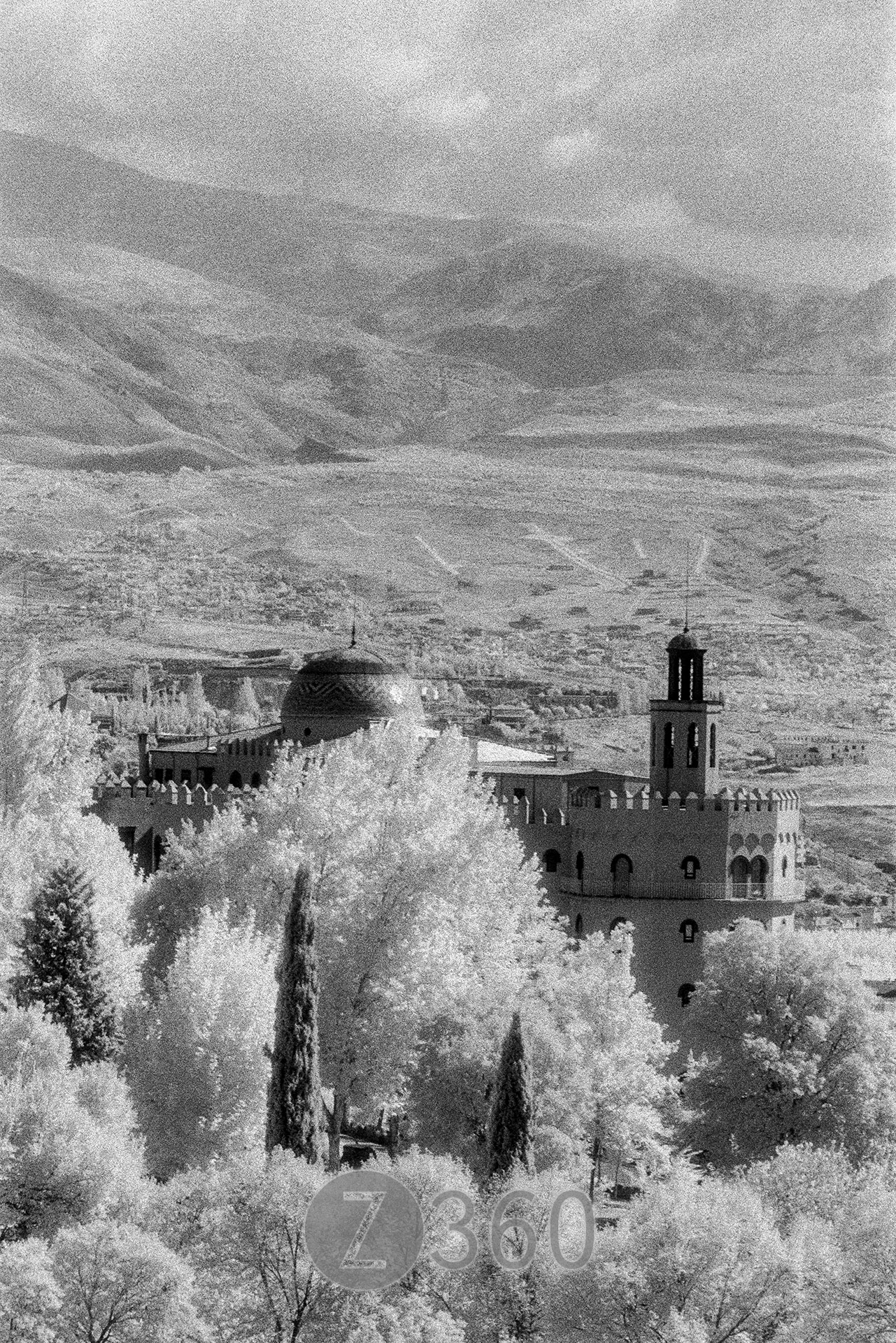 The Alhambra, Granada