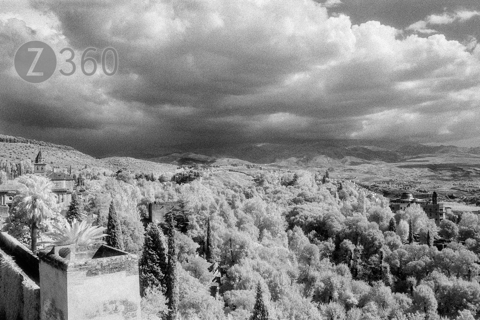 The Alhambra, Granada