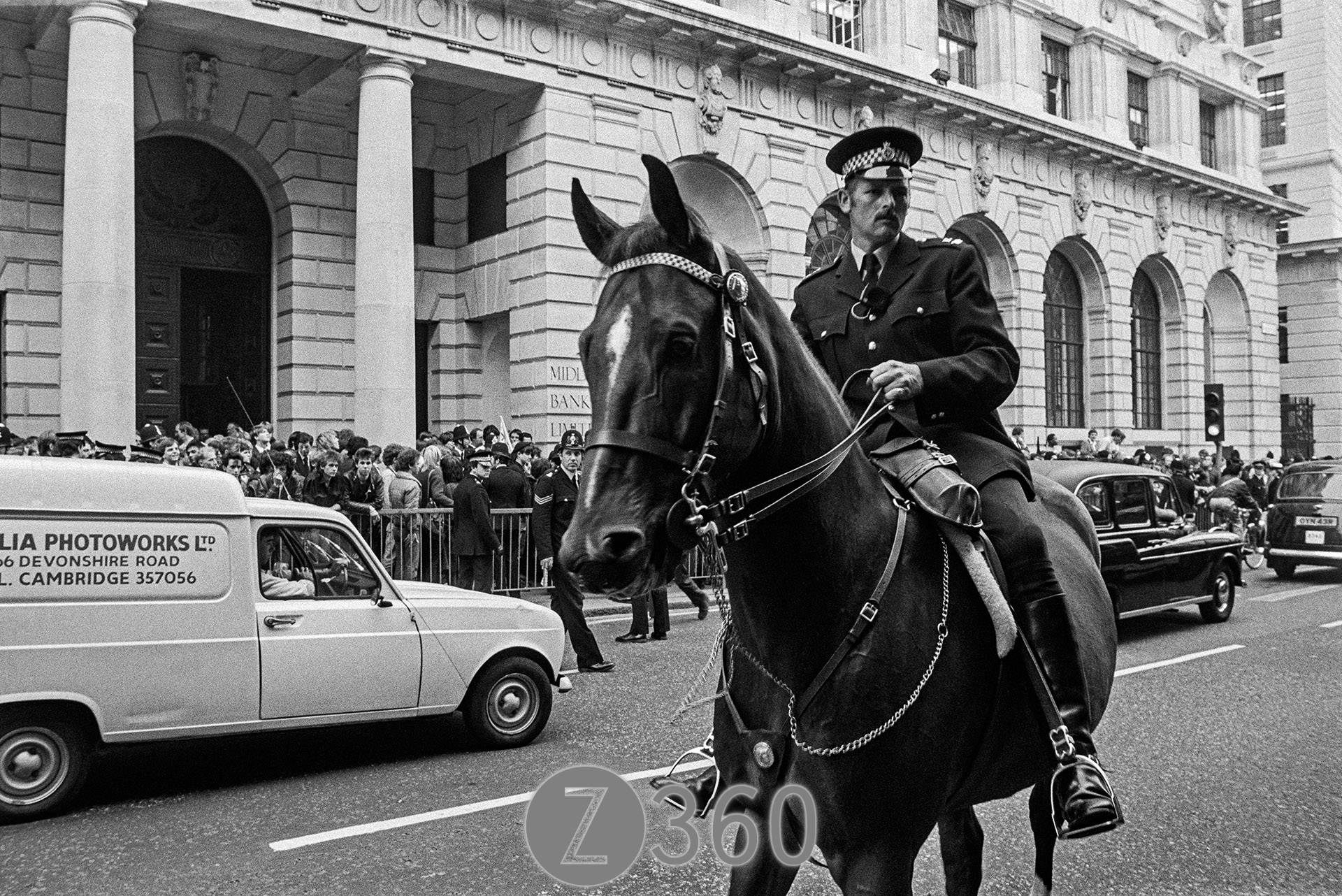 The Horses arrive